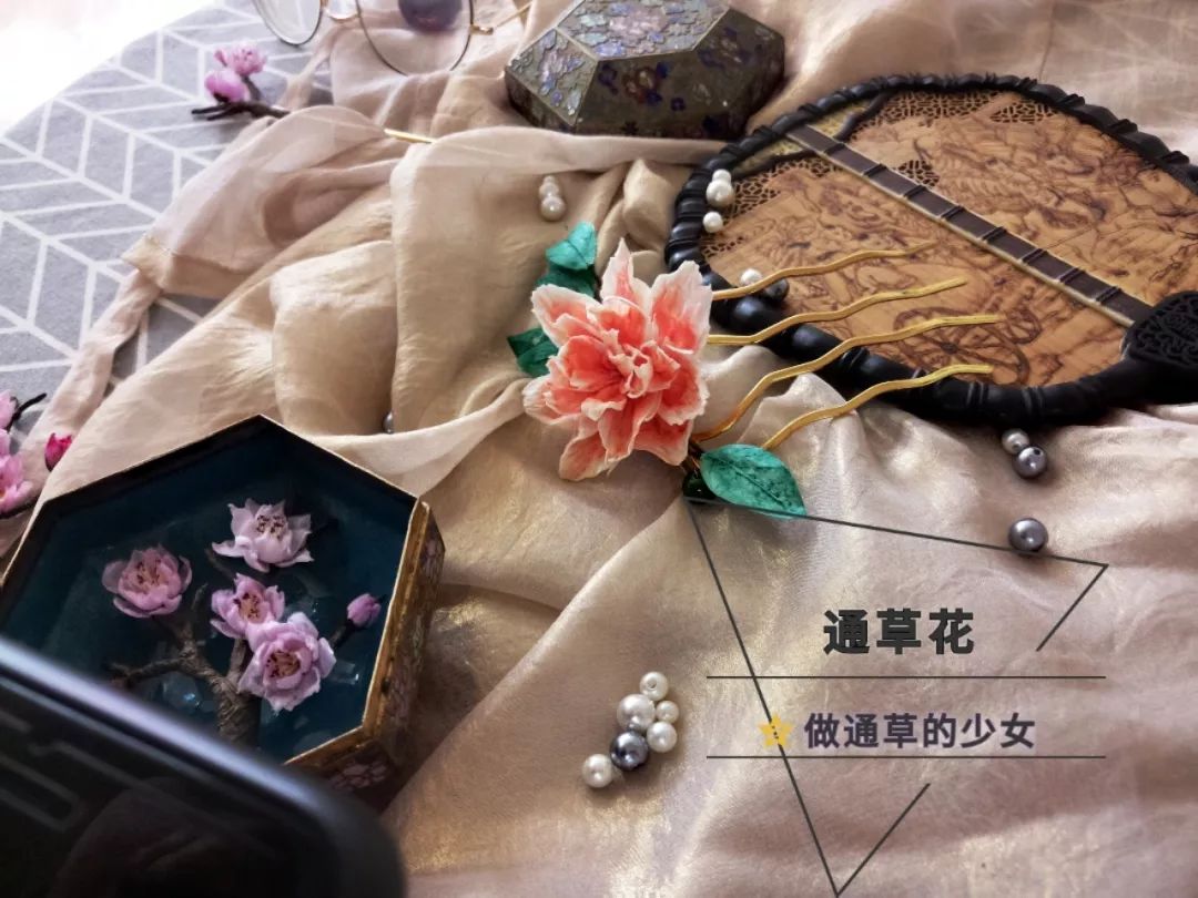 而扬州仅有两位师傅懂得"通草花"技艺 王蕴玉用微博视频的传播方式
