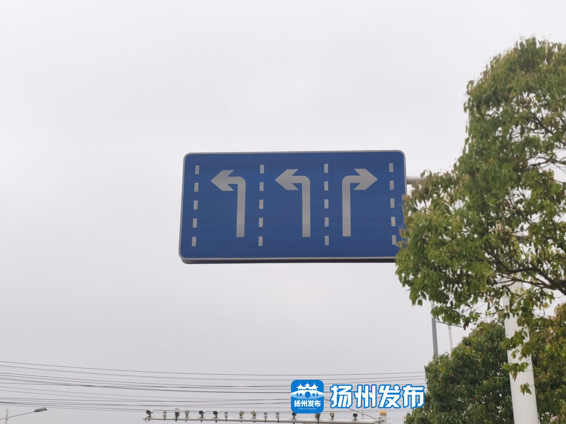 马上办视频这个十字路口标志牌与地面标线不一致咋回事