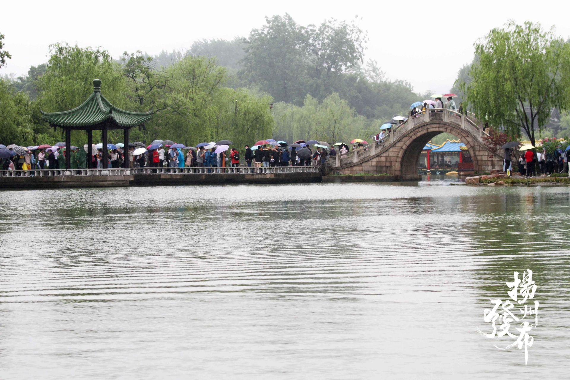 图集|雨中瘦西湖,烟雨朦胧景色美