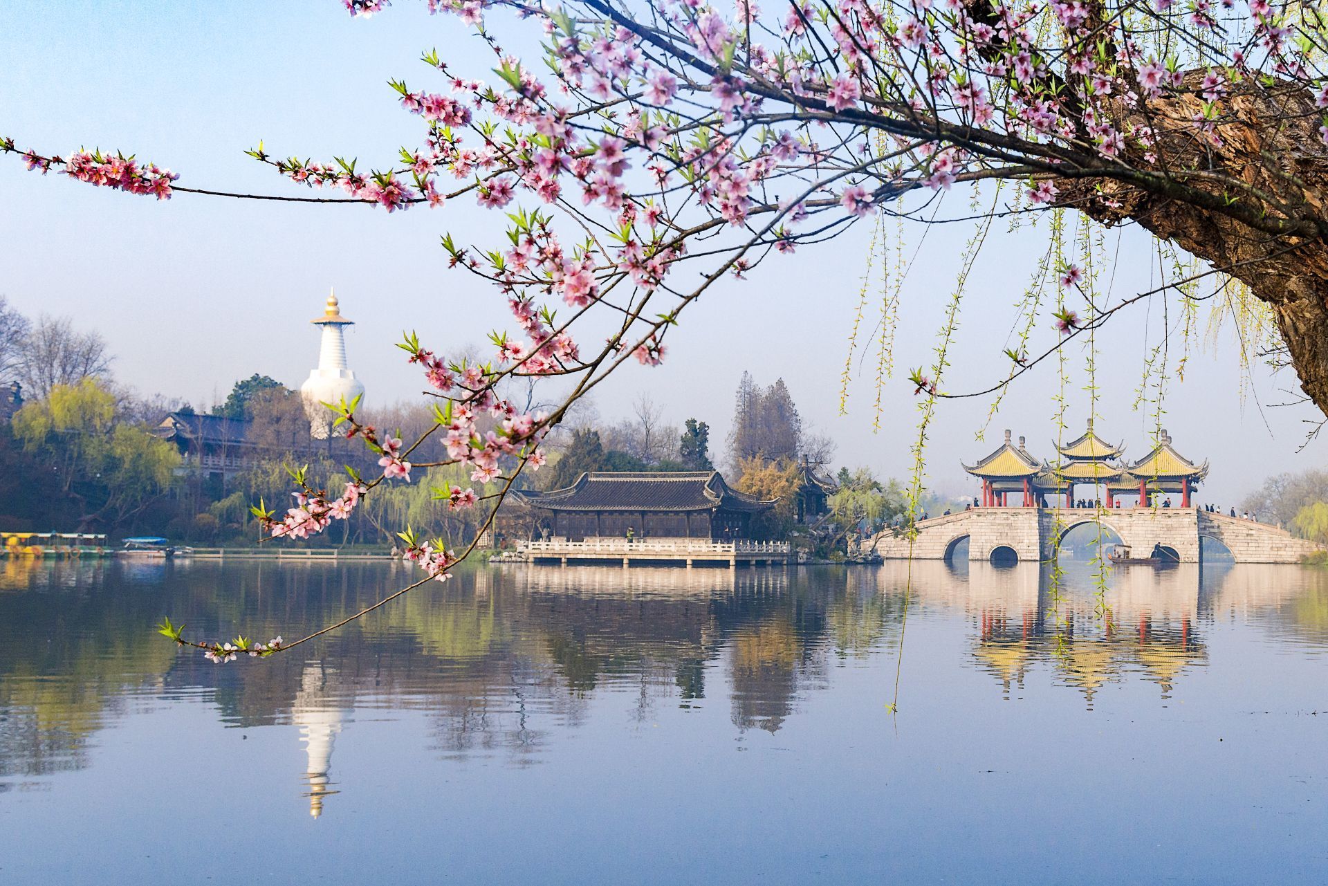 扬州蜀冈瘦西湖风景名胜区十年工笔画绘就大美新瘦西湖印象扛起大运河